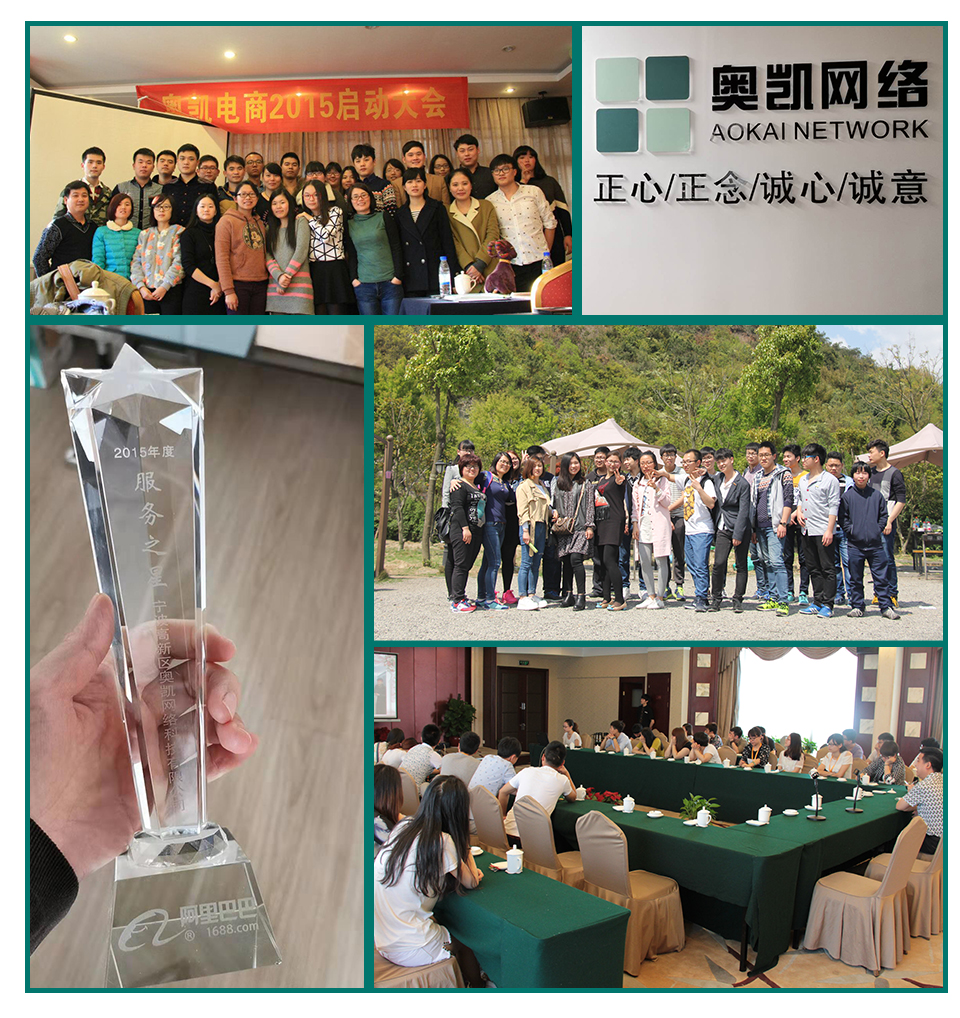 奥凯网络.jpg
